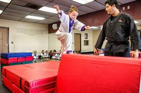 Image result for Hidden Dragon Karate-Do