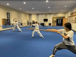 Image result for Sokudo Martial Arts Club