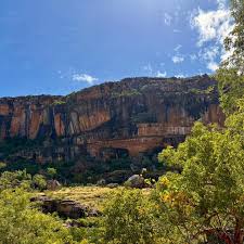 Billedresultat for kakadu n...