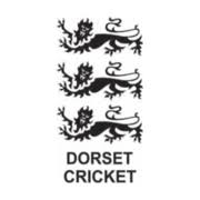 Image result for Bere Regis Cricket Club