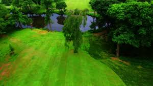 Image result for Arscott Golf Club