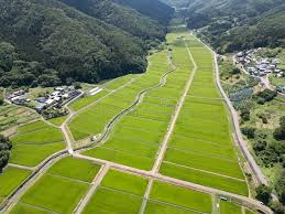 Image result for tanada