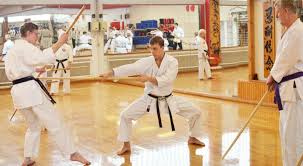 Image result for Imi Jishin Ryou karate do