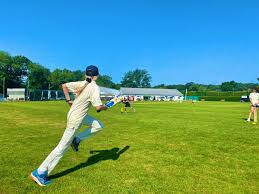Image result for Oxshott Village Cricket Club