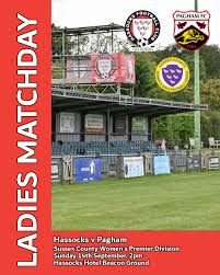 Image result for Hassocks Ladies FC