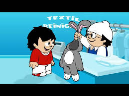 Image result for mainzelm