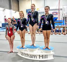 Image result for Arabian School Of Gymnastics