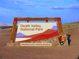 Image result for Dearne Valley Devils