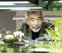 Znalezione obrazy dla zapytania takashi amano%