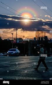 Attēlu rezultāti vaicājumam “pollen corona”