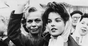 Attēlu rezultāti vaicājumam “Licea pusilla young”