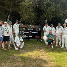 Image result for Wood Street Village Cricket Club