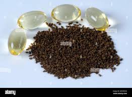 Attēlu rezultāti vaicājumam “Oenothera biennis fruit”