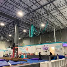 Image result for Fish trampoline and gymnastics club