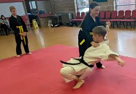 Image result for Junsui Shotokan Karate Do