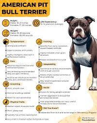 Image result for Bulldogs Power and strength