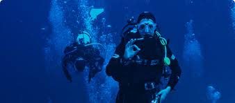 Image result for Cleveland Divers