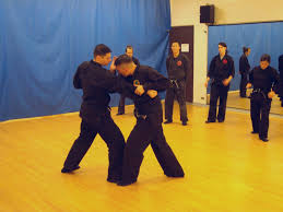 Image result for Bujinkan Lincon Dojo
