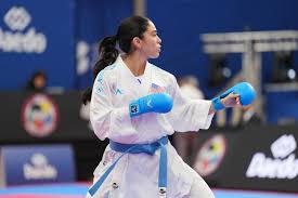 Image result for Shitokai Karate Club