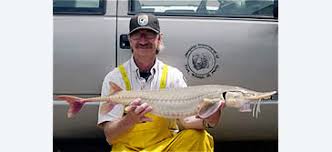 Image result for Scaphirhynchus platorynchus