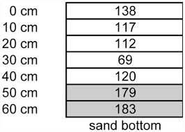 Attēlu rezultāti vaicājumam “Calliergon megalophyllum”