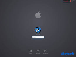 Image result for mac blue screen