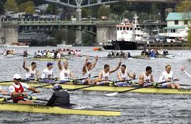 Image result for Windermere Rugby Club