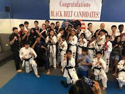 Image result for America's Best Karate