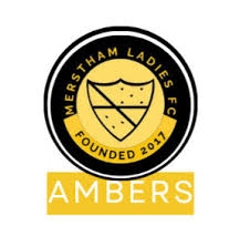 Image result for Merstham Football Club