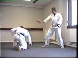 Image result for Jin Sei Kai Shotokan Karate