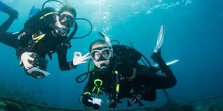 Image result for Great Western Divers
