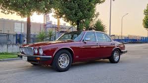 Image result for Pharaoh Gold 1981 Jaguar