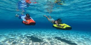 Image result for Underwater Adventures