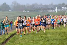 Image result for Tadworth Athletic Club