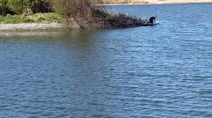 Image result for Fleetwood Model Yacht and Power Boat Club