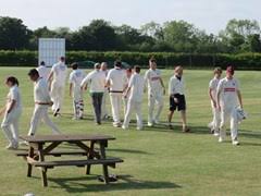 Image result for Worlingworth Cricket Club