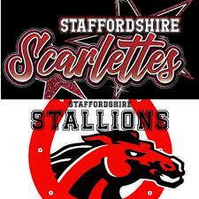 Image result for Staffordshire Stallions
