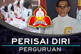 Image result for Silat Pd (Perisai Diri) UK