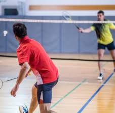 Image result for Halwill Badminton Club