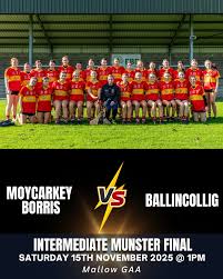 Image result for Moycarkey-Borris Gaa Club