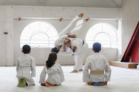 Image result for Croydon Judo Club