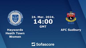 Image result for Haywards Heath Town Ladies Football Club