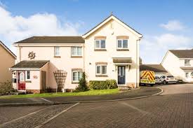 Image result for Newton Abbott Knights