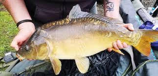 Image result for Wakefield Angling Club