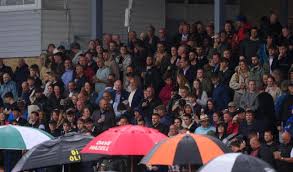 Image result for Newton Abbot Somersaults Gc