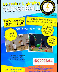 Image result for The Dodgeball Company