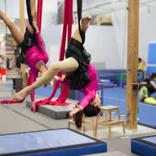 Image result for Phoenix Acro Gymnastics Club