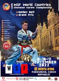 Image result for Shotokan Karate Union