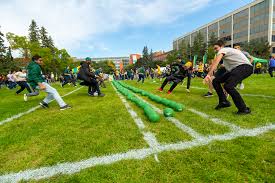 Image result for York University Dodgeball Club