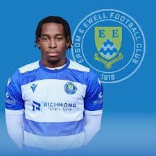 Image result for Afc Ewell